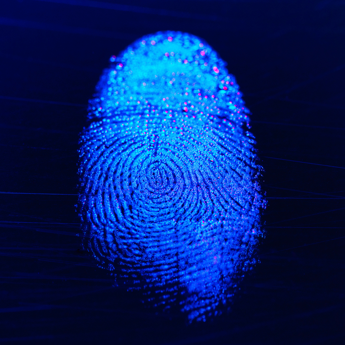 Whorls apart: the genetics of fingerprints — Genetics Unzipped